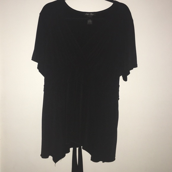 Plus Size V-Neck A-Line Flowey Blouse with Tie Back - Picture 1 of 5